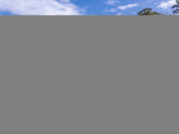 Hilton Head Condo 1009403