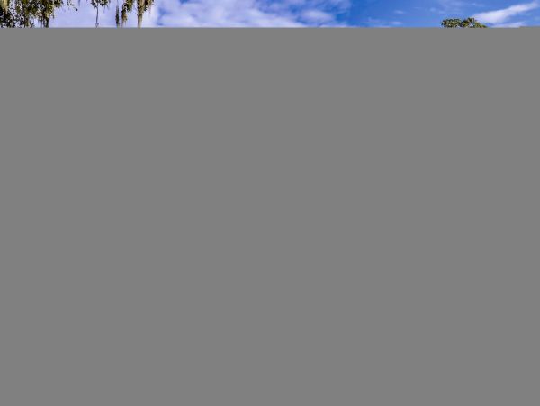 Hilton Head Condo 1009403