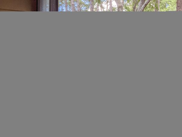 Hilton Head Condo 1009409