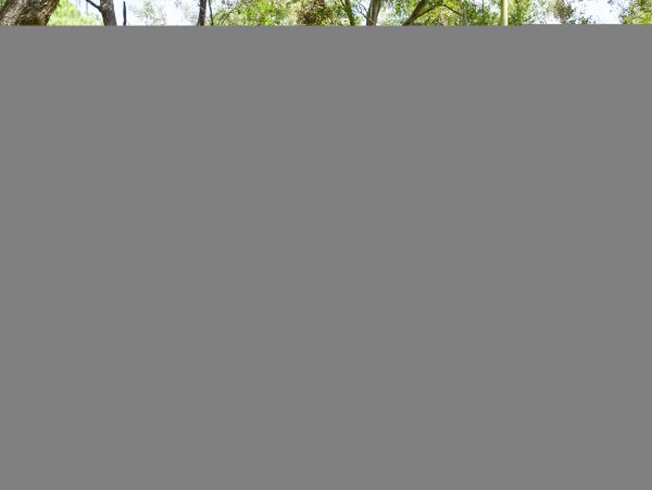 Hilton Head Condo 1009409