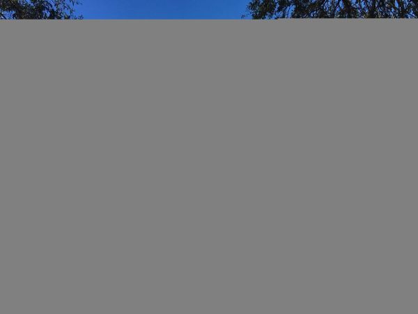 Hilton Head Condo 1009409