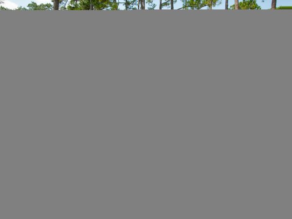 Hilton Head Condo 1009413