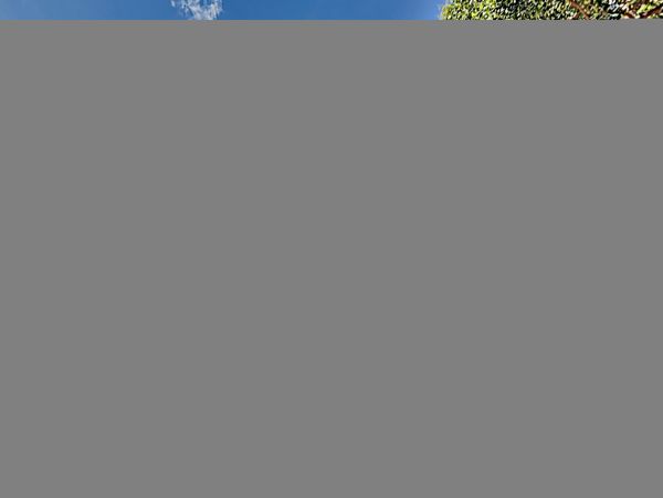 Hilton Head Condo 1009413