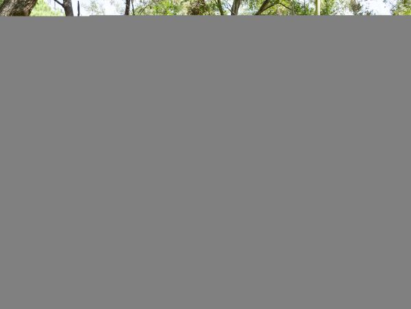 Hilton Head Condo 1009413