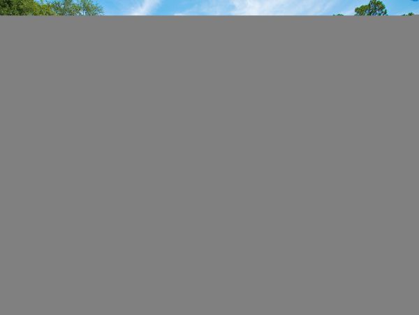 Hilton Head Condo 1009415