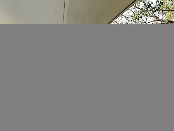 Hilton Head Condo 1009416