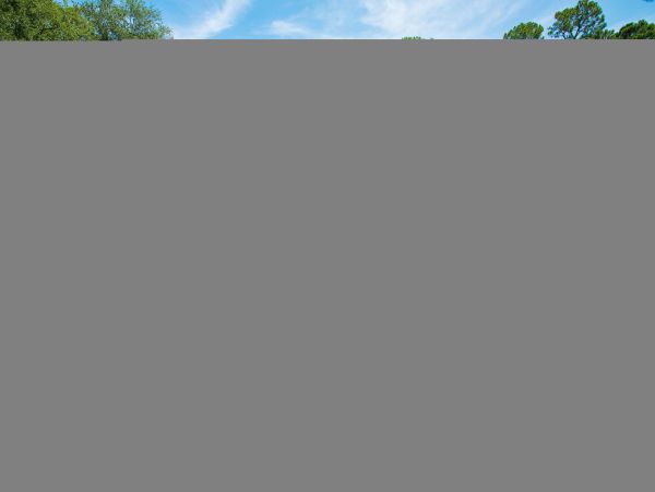 Hilton Head Condo 1009416