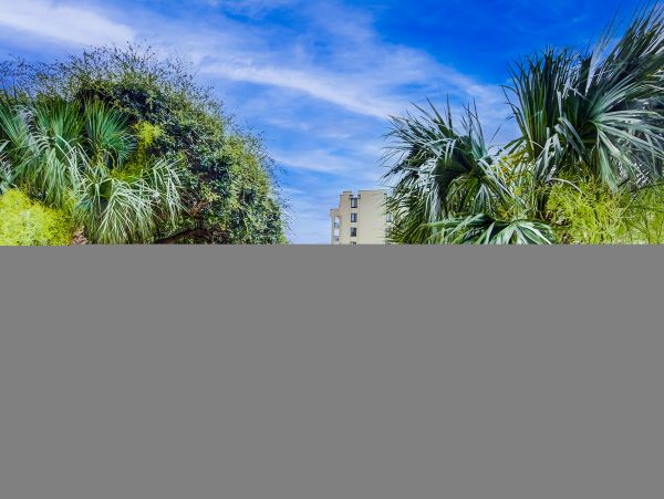 Hilton Head Condo 1009417