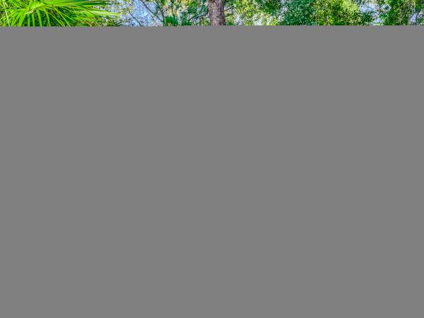 Hilton Head Condo 1009417