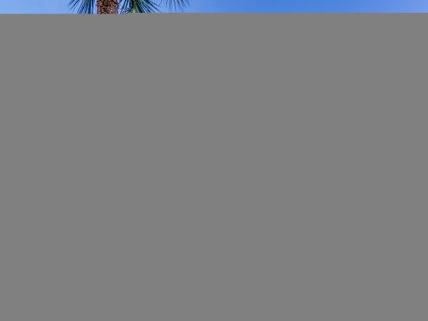 Hilton Head Condo 1009417