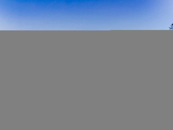 Hilton Head Condo 1009417
