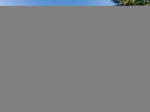 Hilton Head Condo 1009417