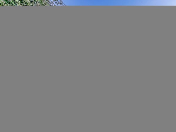 Hilton Head Condo 1009417