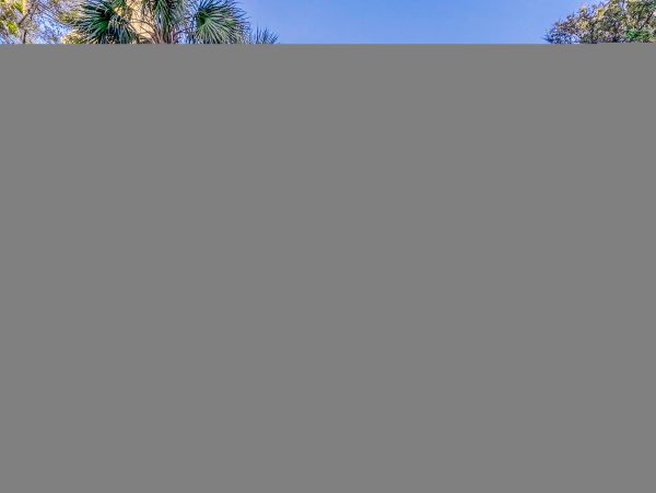 Hilton Head Condo 1009417