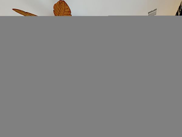 Hilton Head Condo 1009421
