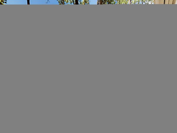 Hilton Head Condo 1009421