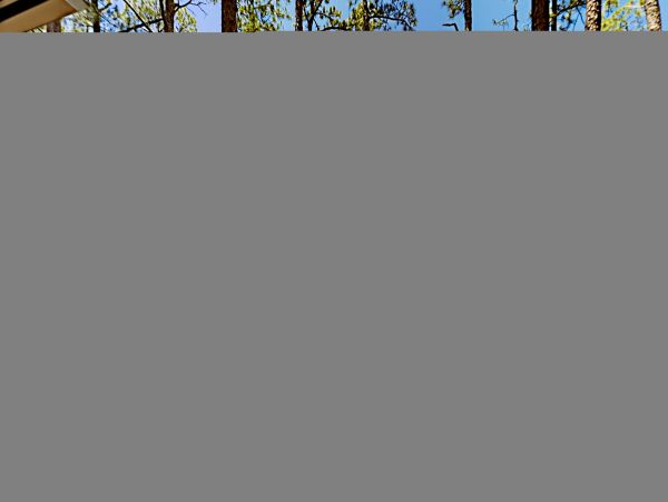 Hilton Head Condo 1009421