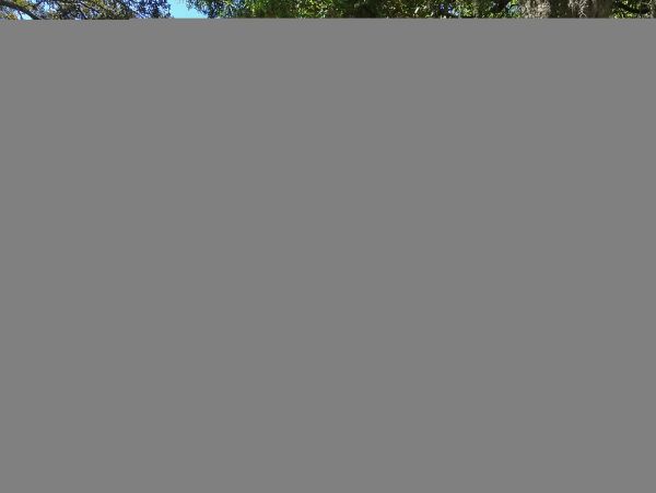 Hilton Head Condo 1009422