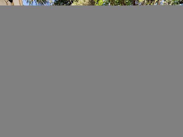Hilton Head Condo 1009422
