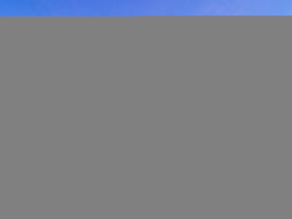 Hilton Head Condo 1009434