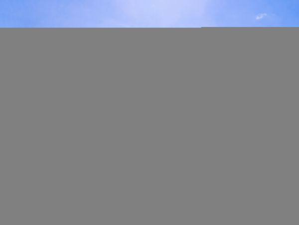 Hilton Head Condo 1009434