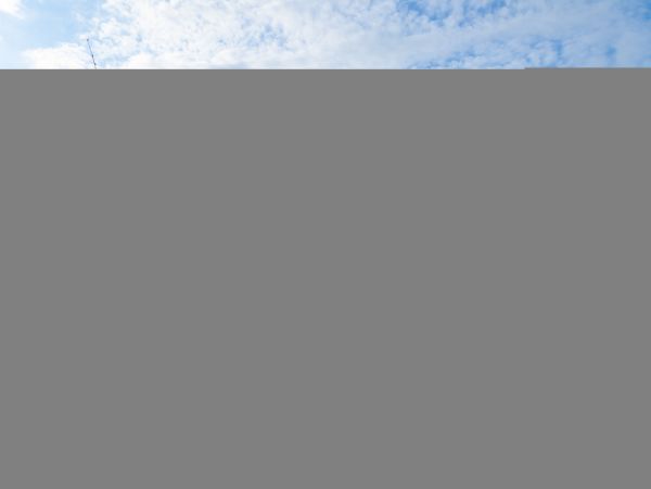 Hilton Head Condo 1009436