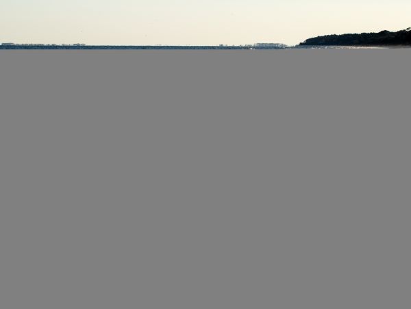 Hilton Head Condo 1009436