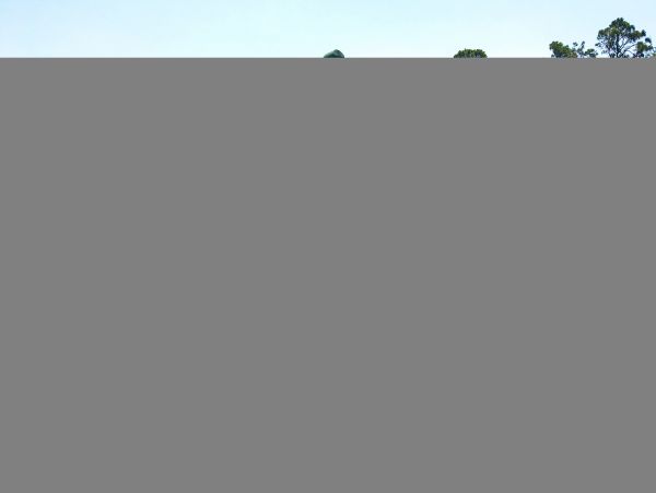 Hilton Head Home 1009437
