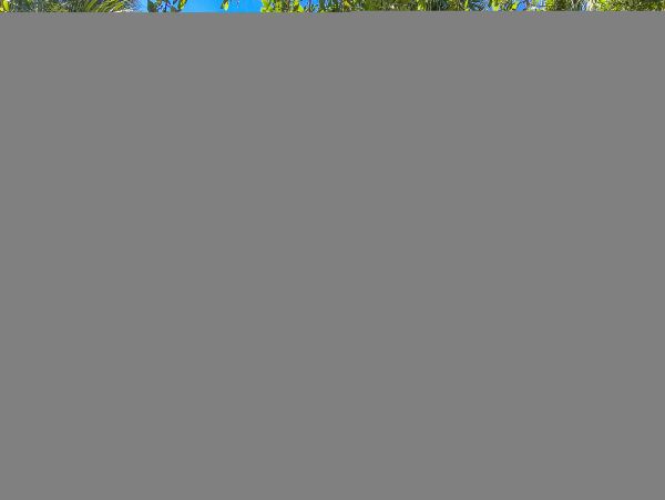 Hilton Head Condo 1009438