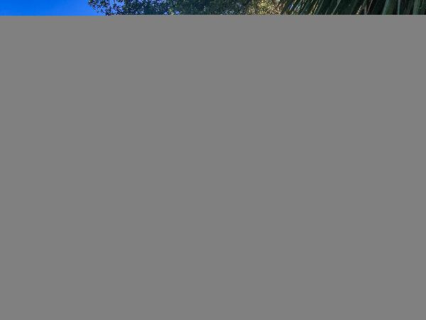 Hilton Head Condo 1009438