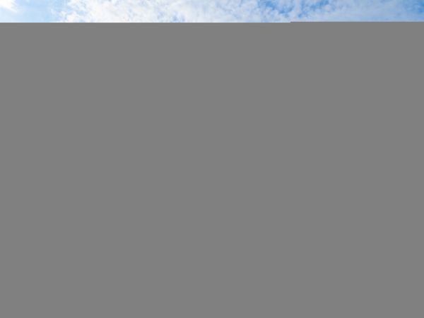 Hilton Head Condo 1009438