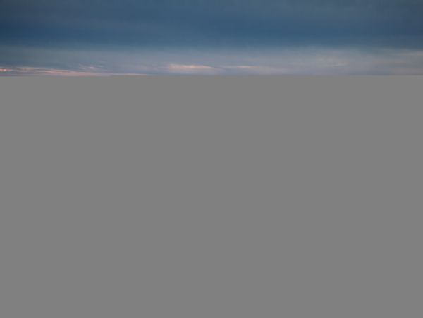 Hilton Head Condo 1009438