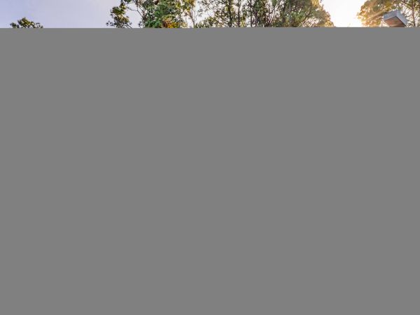 Hilton Head Condo 1009449