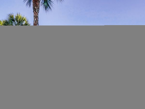 Hilton Head Condo 1009449