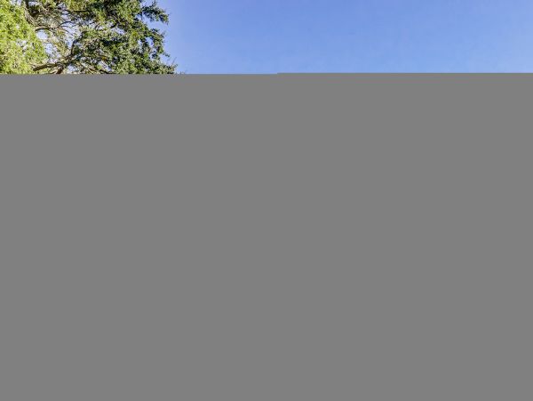 Hilton Head Condo 1009449