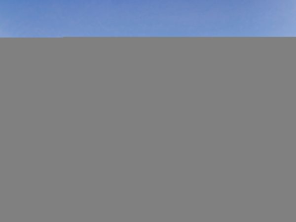 Hilton Head Condo 1009449