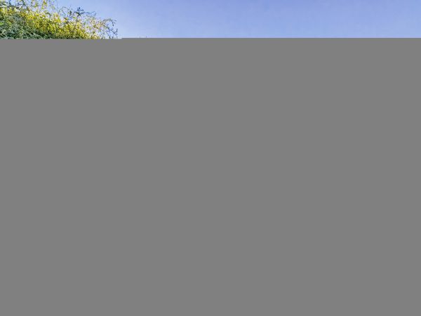 Hilton Head Condo 1009449