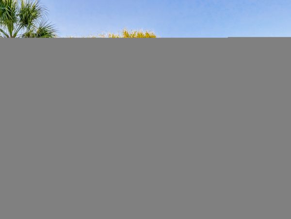 Hilton Head Condo 1009449