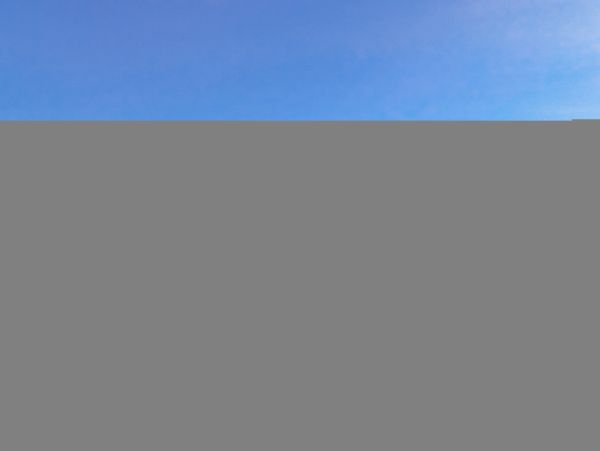 Hilton Head Condo 1009449