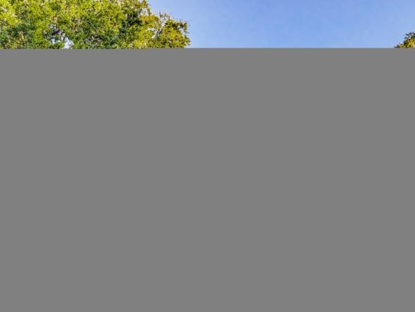 Hilton Head Condo 1009449