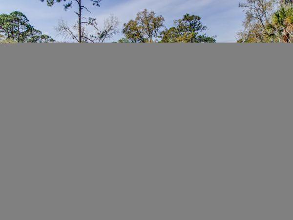 Hilton Head Condo 1009453