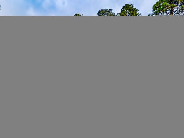 Hilton Head Condo 1009454