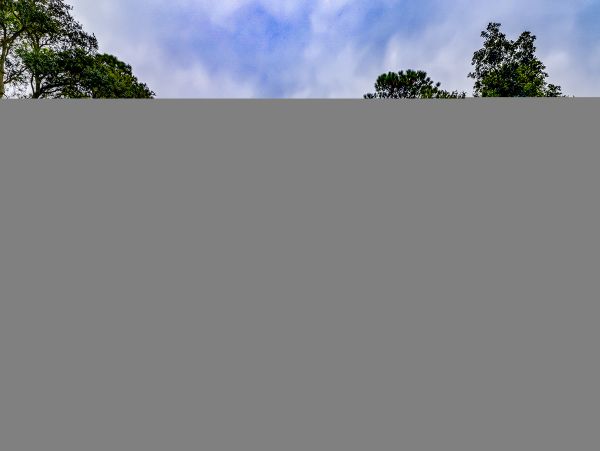 Hilton Head Condo 1009454