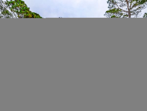 Hilton Head Condo 1009454