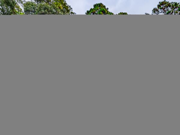 Hilton Head Condo 1009454