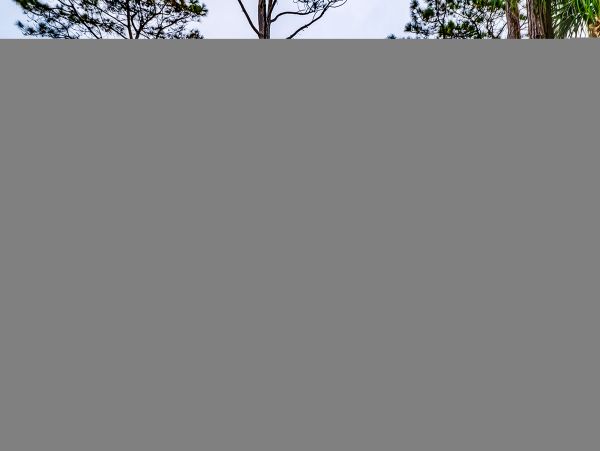 Hilton Head Condo 1009454