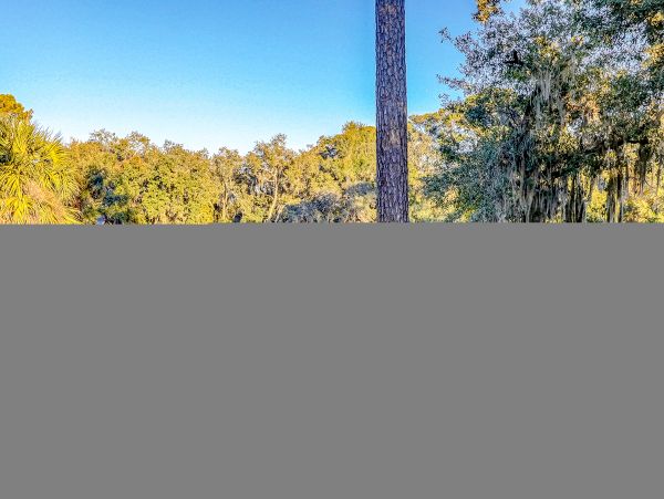 Hilton Head Condo 1009456