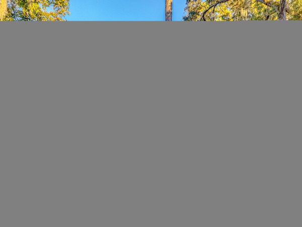 Hilton Head Condo 1009456