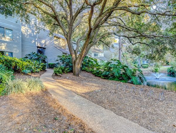 Hilton Head Condo 1009456