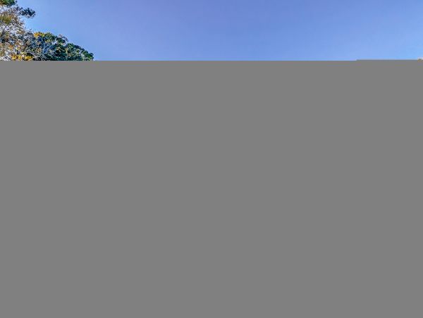 Hilton Head Condo 1009456
